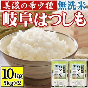 [美濃の希少種]無洗米 はつしも 10kg(5kg×2袋) 岐阜県産 令和4年産【1428680】