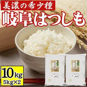 [美濃の希少種]白米 はつしも 10kg(5kg×2袋) 岐阜県産 令和4年産【1428682】