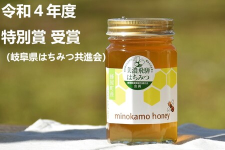  MINOKAMO HONEY はちみつ（500g） | 藤井養蜂 非加熱 百花蜜 国産 M12S101