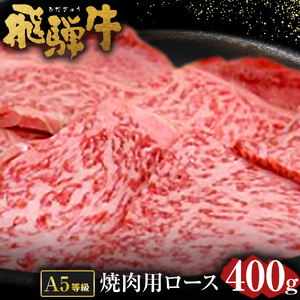 飛騨牛 A5 等級 焼肉 用 （ ロース 400g） | 肉のかた山 牛肉 M22S38