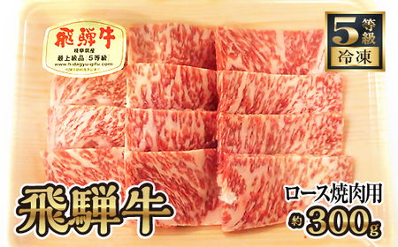 飛騨牛ロース焼肉用 約300g（5等級 冷凍） [No.214]