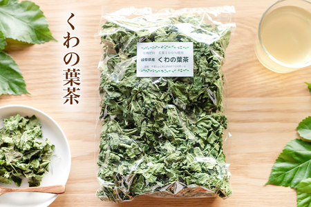 くわの葉茶｜岐阜県産 自家製健康茶 若葉100％  有機肥料 おすすめ 大袋 [1342]