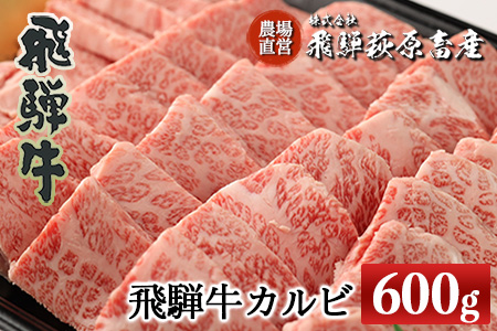 飛騨牛カルビ焼肉  600g　牛肉 国産 ブランド牛【22-16】【冷凍】