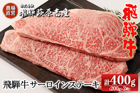 飛騨牛サーロインステーキ  200g×2枚 牛肉 国産 ブランド牛【22-17】【冷凍】