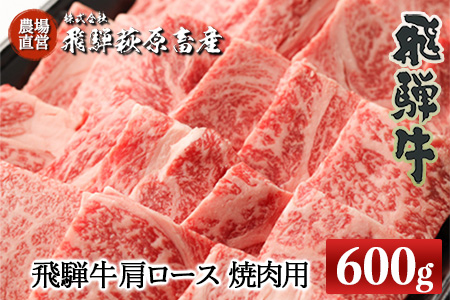飛騨牛肩ロース  600g（焼肉用）牛肉 国産 ブランド牛 【22-19【1】】【冷凍】