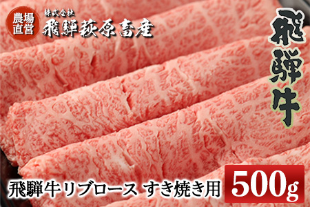 飛騨牛リブロース 500g（すき焼き用）牛肉 国産 ブランド牛 【22-20【2】】【冷凍】