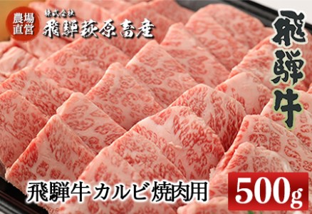 飛騨牛カルビ焼肉用（500g）最高級 国産 牛肉 ブランド牛 和牛 【22-24】【冷凍】