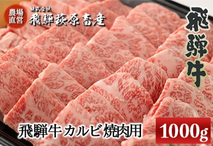 たっぷり大容量！飛騨牛カルビ焼肉用（1kg）最高級 国産 牛肉 ブランド牛 和牛 【22-26】【冷凍】