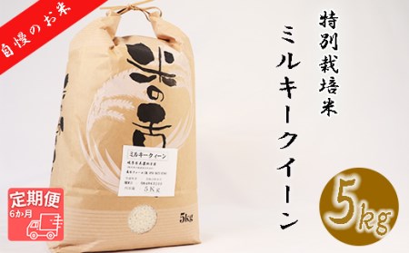 【6か月定期便】【特別栽培米】垂井町産ミルキークイーン(5kg×6回）