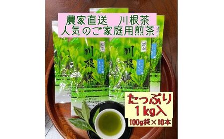 川根茶 ご家庭用 普通煎茶やまびこ１kg (100g袋×10袋セット)
