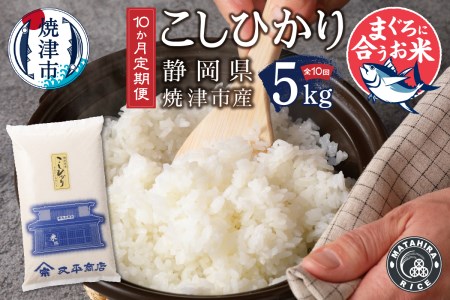 b10-055　定期便10回 令和5年産新米 マグロ ネギトロ に合う 焼津のお米 こしひかり 5kg【定期便】