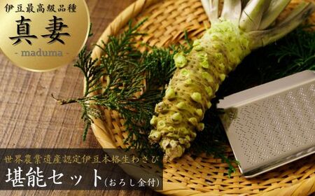 伊豆本格生わさび「真妻」堪能セット　012-005　（ワサビ 山葵 わさび生産地 わさび生産量全国１位  わさび最高級品種 新鮮わさび 生わさび わさび漬 わさび味噌 本格生わさび）