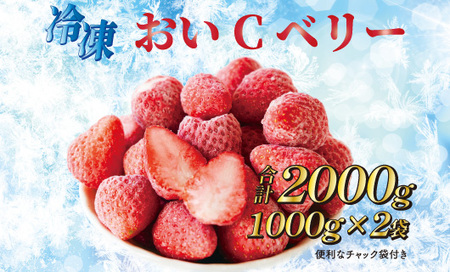 060-3 ビタミンC含有量No.1 完熟冷凍いちご（おいCベリー）２ｋｇ以上！