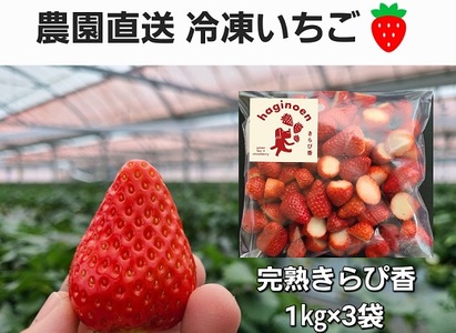 116-2　冷凍いちご3kg　静岡県限定栽培の特別ないちご「きらぴ香」
