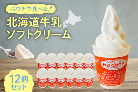 おウチで食べる北海道牛乳ソフトクリームセット12個入り