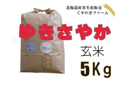 【令和5年産】北海道岩見沢産くすのきファームのゆきさやか玄米（5Kg）【34106】