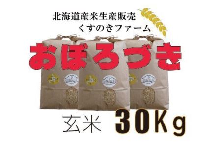 【令和5年産】北海道岩見沢産くすのきファームのおぼろづき玄米（30Kg）【34136】