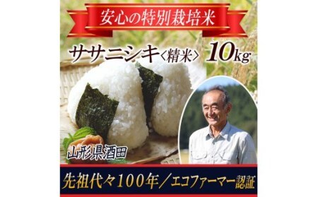 【令和5年産米】特別栽培米 ササニシキ 精米10kg 山形県庄内 F2Y-3667