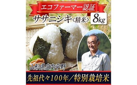 【令和5年産米】特別栽培米 ササニシキ 精米8kg 山形県庄内 F2Y-3670
