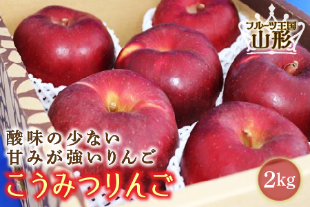 【先行予約 2024年度発送】フルーツ王国山形 こうみつりんご 2kg FSY-0856