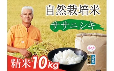自然栽培米 ササニシキ 精米 10kg F2Y-1675
