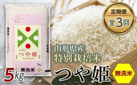 山形県産特別栽培米無洗米つや姫5kg（BG無洗米）全3回 F2Y-3086