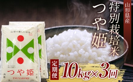 山形県産特別栽培米つや姫10kg（5㎏×2)　全3回 F2Y-5365