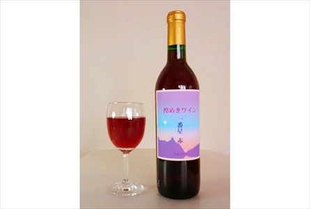 煌めきワイン 一番星(赤) [0097]