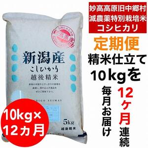【12か月定期便】新潟県旧中郷村減農薬特別栽培米コシヒカリ 10kg（5kg×2袋）