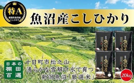 食味鑑定士が選ぶ　日本棚田百選のお米　天空の里・魚沼産こしひかり　５kg×４