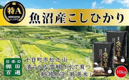 食味鑑定士が選ぶ　日本棚田百選のお米　天空の里・魚沼産こしひかり　５kg×２