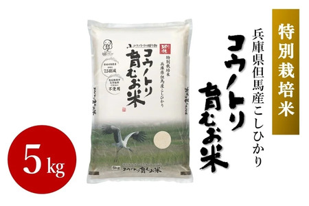 【特別栽培米】コウノトリ育むお米 　令和5年度産　5kg