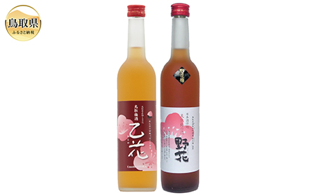 A24-050 鳥取県の美味しい酒　梅酒　2本セットＢ