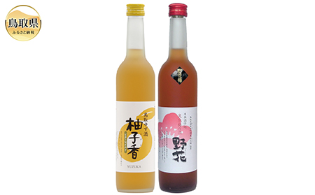A24-051 鳥取県の美味しい酒　梅酒・ゆず酒　2本セット