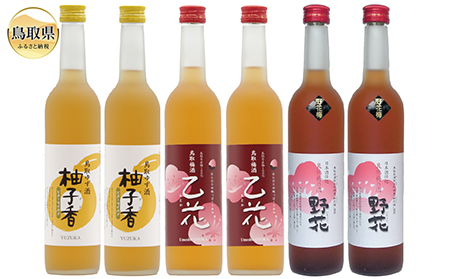 C24-016 鳥取県の美味しい酒　梅酒・ゆず酒　6本セット