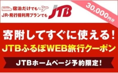 F24-043 【鳥取県】JTBふるぽWEB旅行クーポン　30000円
