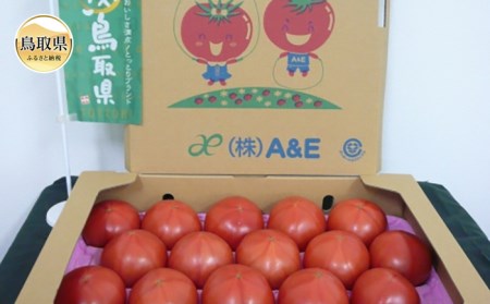 A24-032 鳥取県産「笑心とまと」【期間･数量限定】