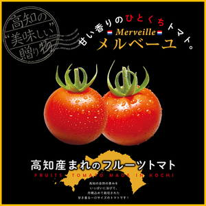 【B03058】高知産フルーツトマト「メルベーユ」　約1kg［期間限定品］