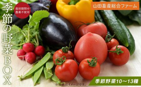 長崎県産　季節野菜 BOX 10～13種 詰め合わせ＜山田畜産総合ファーム＞