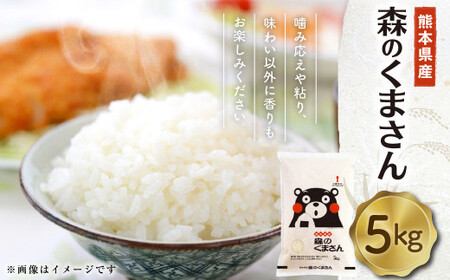 【令和5年度産】熊本県産 森のくまさん 5kg 精米 お米