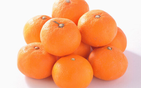 【2024年7月上旬発送開始】熊本県産 ハウスみかん 約5kg 約48～60個 蜜柑 ミカン 柑橘
