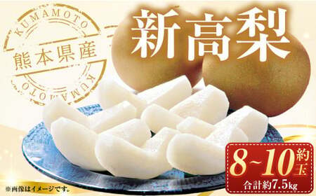 【2024年10月上旬発送開始】熊本県産 新高梨 約7.5kg 約8～10個 梨 なし ジャンボ梨