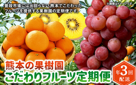 【年3回定期便】熊本の果樹園こだわりフルーツ定期便