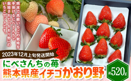 【2023年12月上旬発送開始】にべさんちの苺 熊本県産イチゴかおり野 約520g