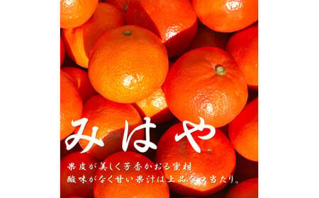 【2024年12月発送開始】熊本県産みはや 約5キロ 果物 柑橘類 蜜柑