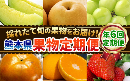 【年６回定期便】熊本県果物定期便 採れたて旬の果物をお届け！ 
