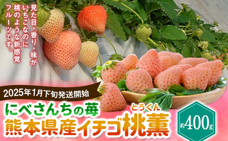 にべさんちの苺 熊本県産イチゴ桃薫(とうくん) 約400g 【2025年1月下旬発送開始】