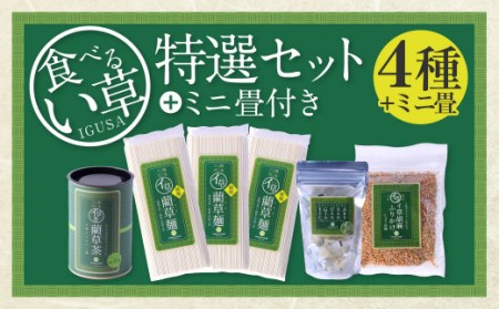 食べるい草 特選セット 4種 ミニ畳付き ふりかけ 飴 お茶 麺
