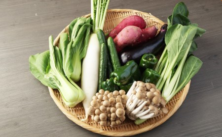 【8種類】熊本県産 肥後の国 野菜の詰め合わせ セット