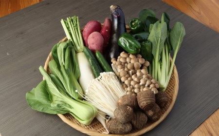 【10種類】熊本県産 肥後の国 野菜の詰め合わせセット